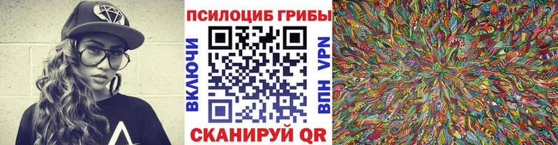 Псилоцибиновые грибы MAGIC MUSHROOMS  где купить наркоту  Великий Новгород 